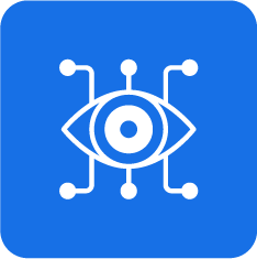 surveilance